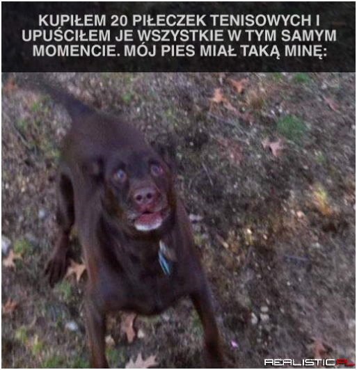 20 piłeczek tenisowych