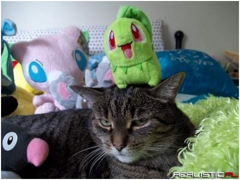 Boże jak śmiesznie