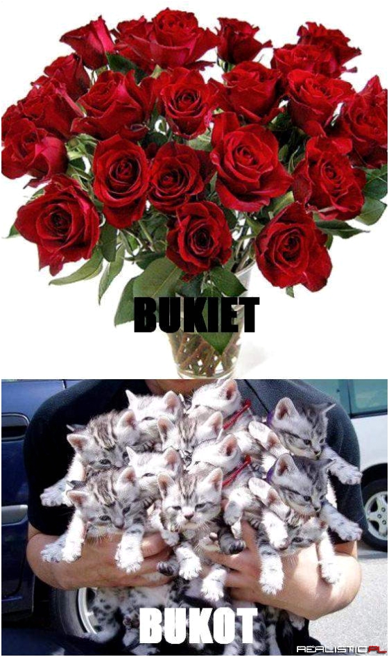 Buk