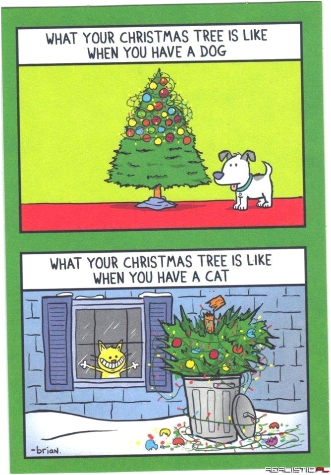 Choinka vs psy i koty