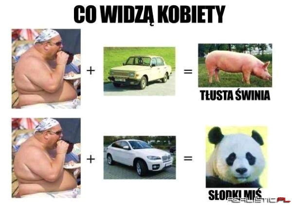 Co widzą