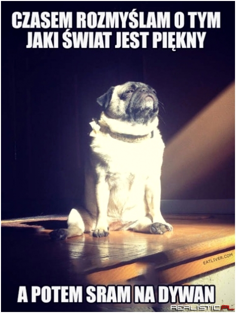 Czasem rozmyślam jaki świat jest piękny