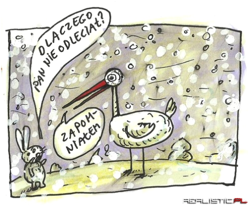 Dlaczego pan nie odleciał ?