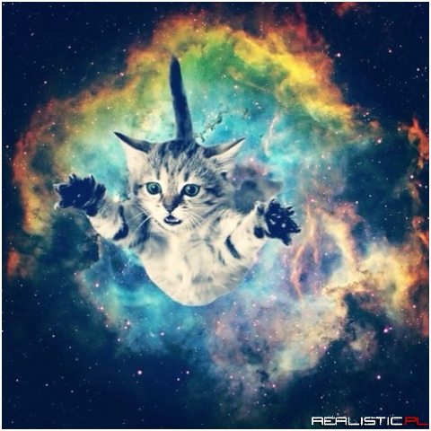 FOLLOW ME I'LL FOLLOW BACK EVERYONE