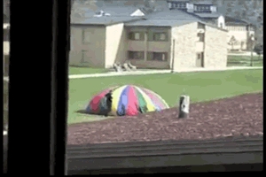 Jaranie blantów w ukryciu