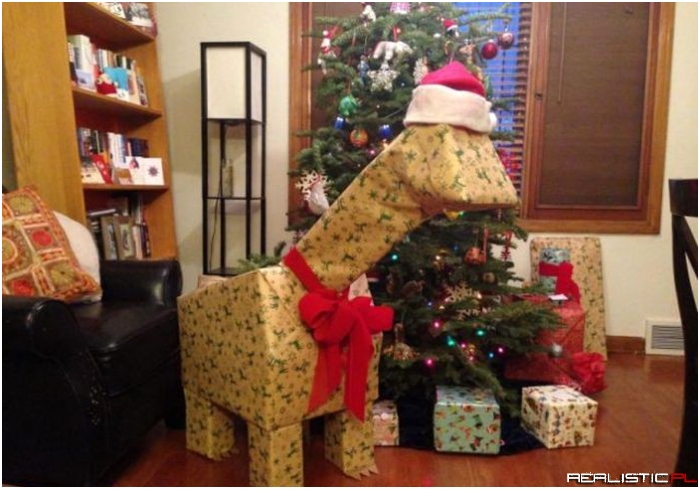 Koń trojański pod choinką