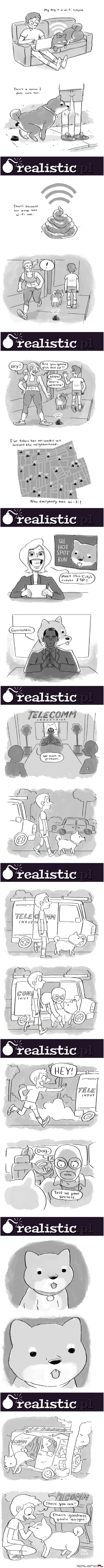 Pies - chodzący WiFi spot :)