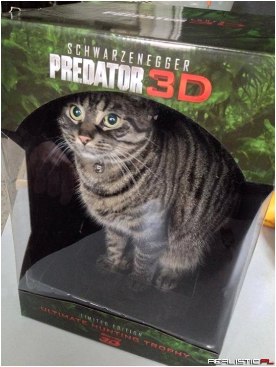 Predator 3D