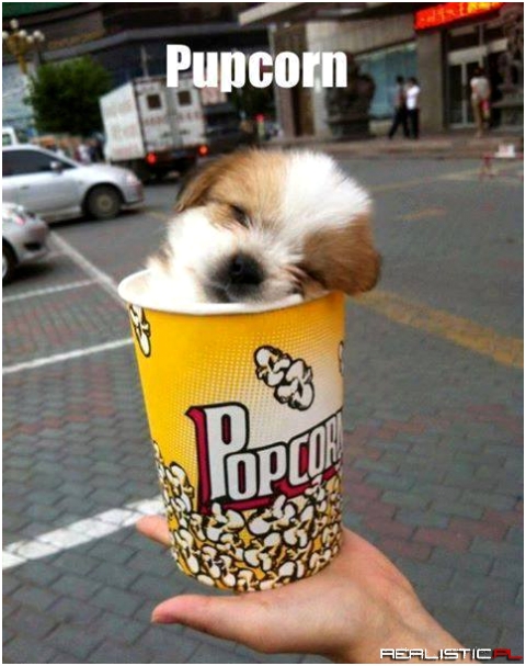soł kiut :)