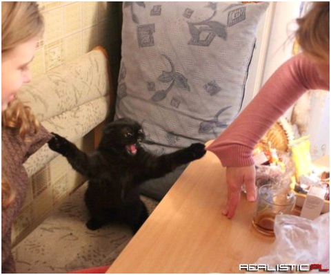 Spokój mi tu dzieciaki ;)