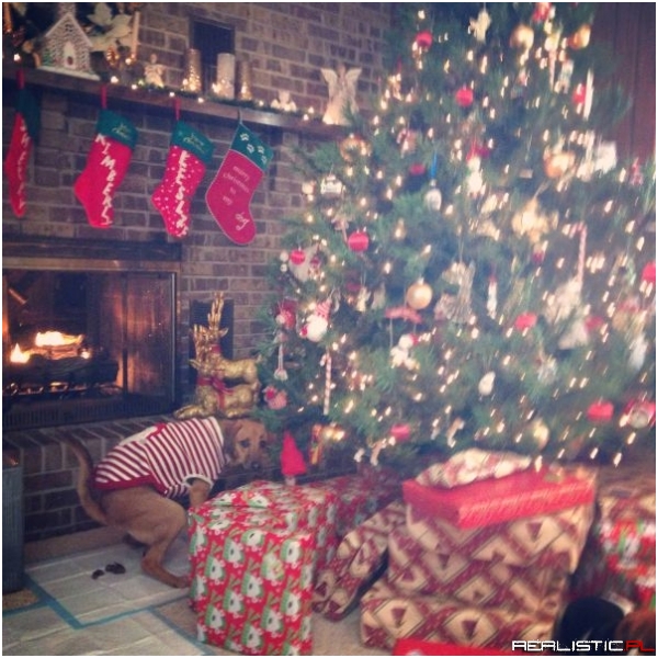 Świąteczne prezenty