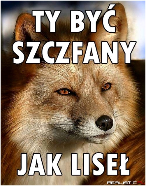 Szczfany