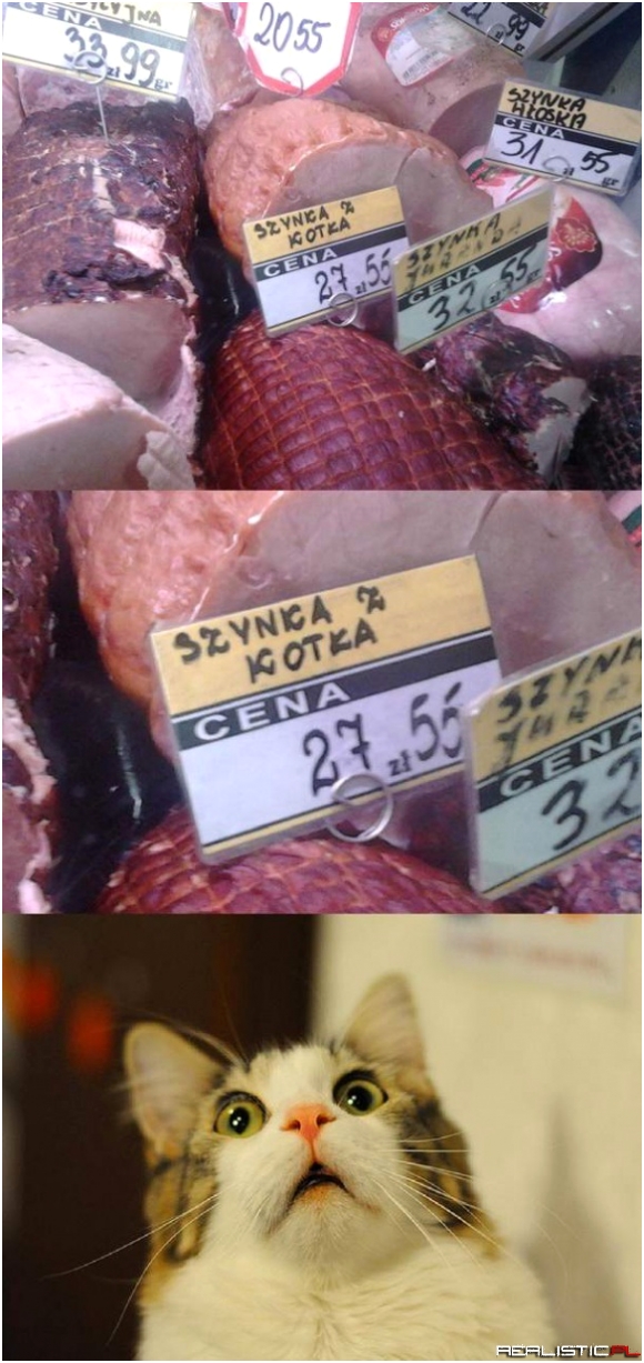 Szynka z kotka :)