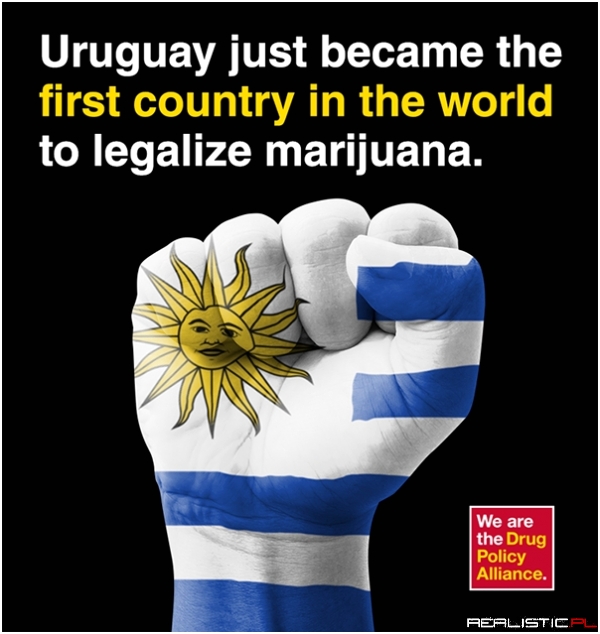 Urugwaj zalegalizował marihuanę