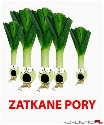Zatkane pory
