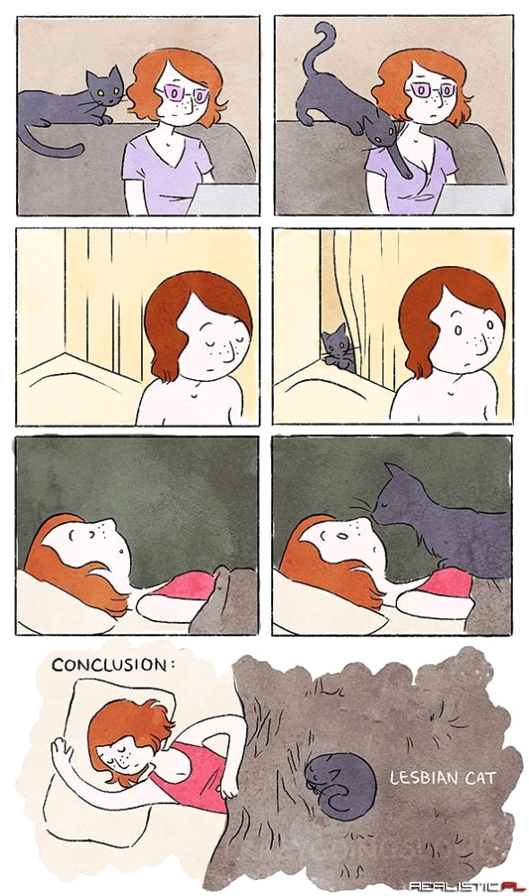 Całe życie z kotem