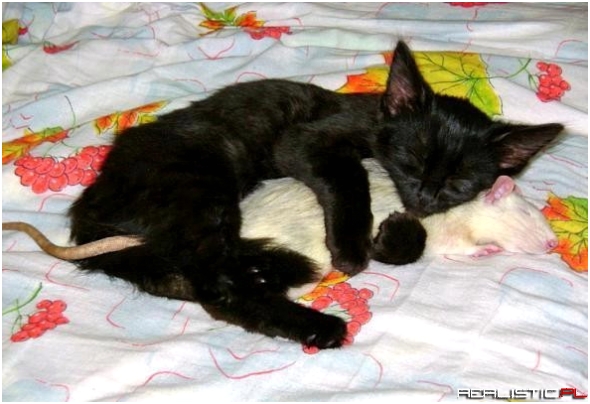 Coś poszło nie tak