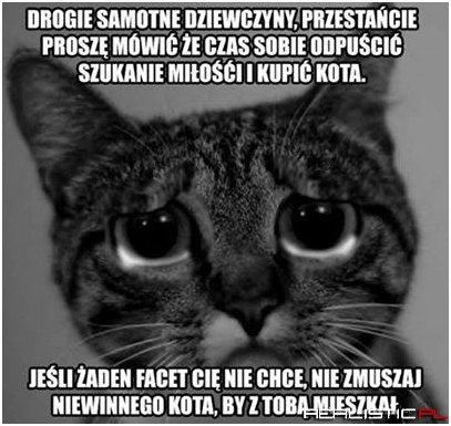 Drogie samotne dziewczyny