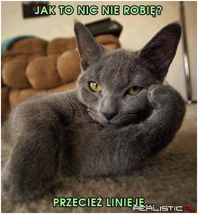 Jak to nic nie robię?