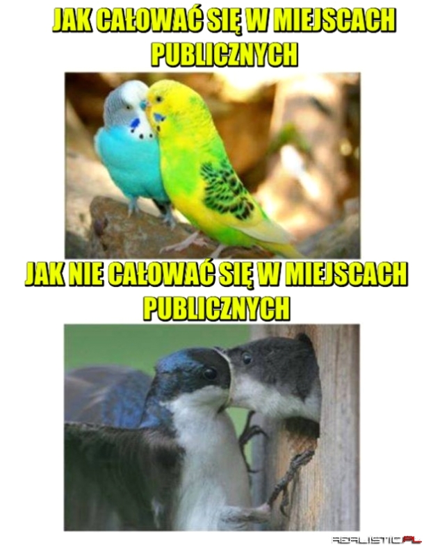 Krótki kurs całowania się w miejscach publicznych