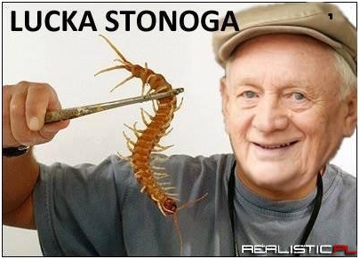 Lucka stonoga