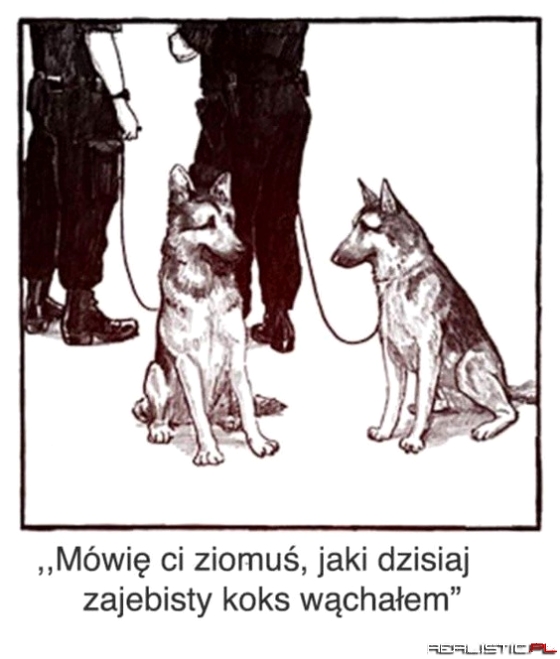 O czym rozmawiają policyjne psy?