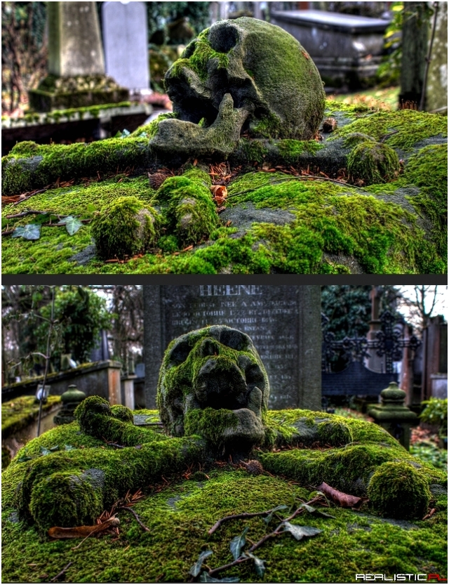 Obrośnięty mchem nagrobek