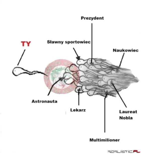 Opowieść o poczęciu