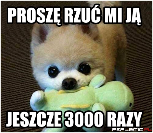 Podczas zabawy z psem