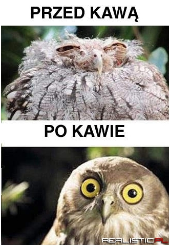 Przed i po kawie