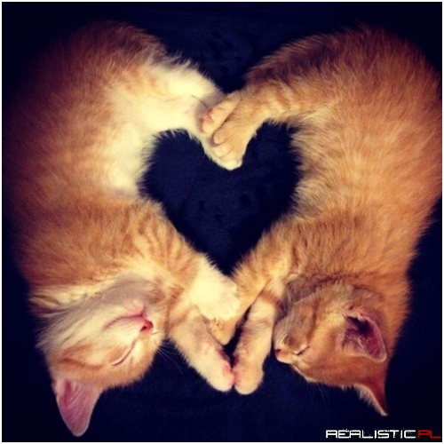 We Share a Heart Between Us