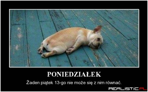 Jak my to lubimy...