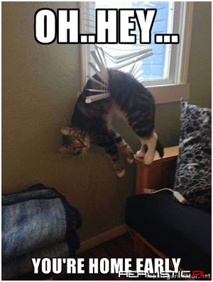 Oh..Hey...You're Home Early