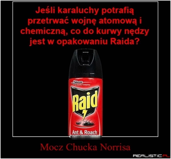 Raid z dodatkiem ;)