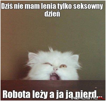 Seksowny dzień