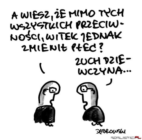 Zuch
