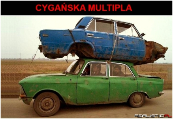 Cygańska Multipla