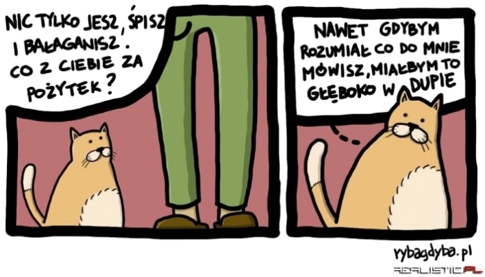 Kocia logika
