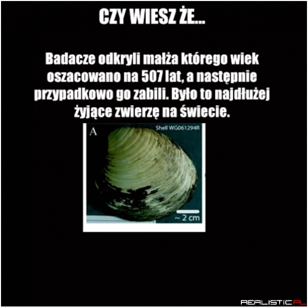 Naukowcy tacy sprytni