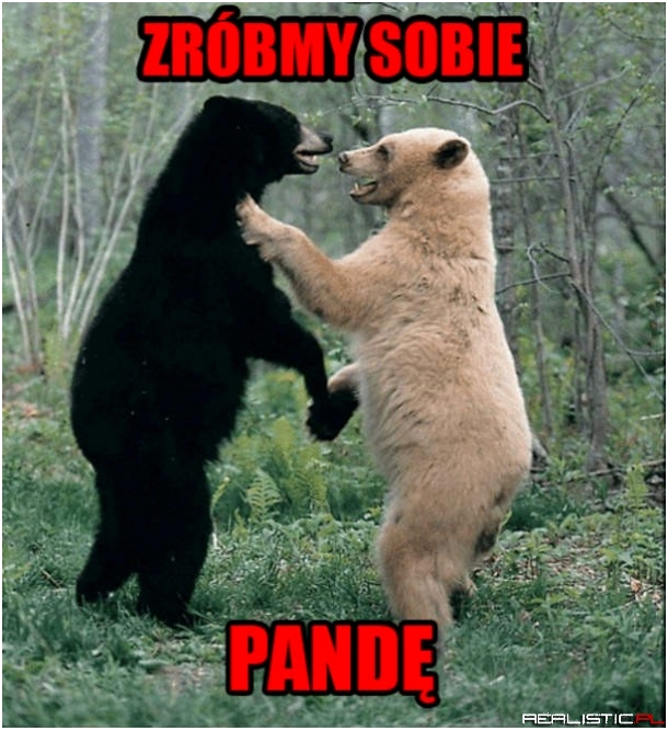 Oczywiście!