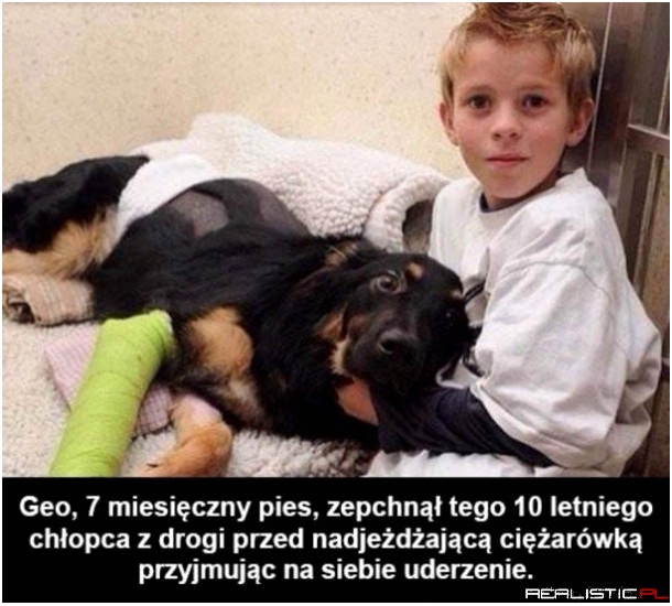 Pieseł