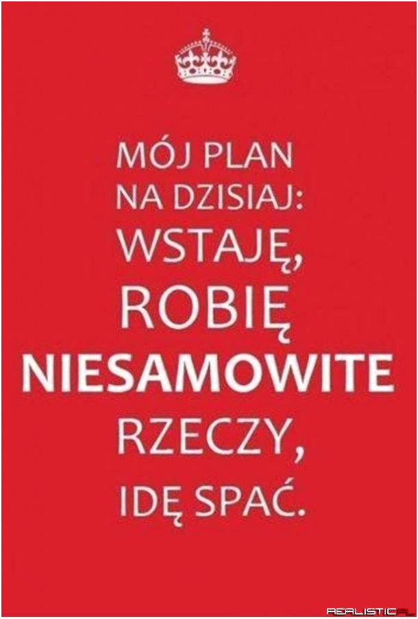 Plan na dziś