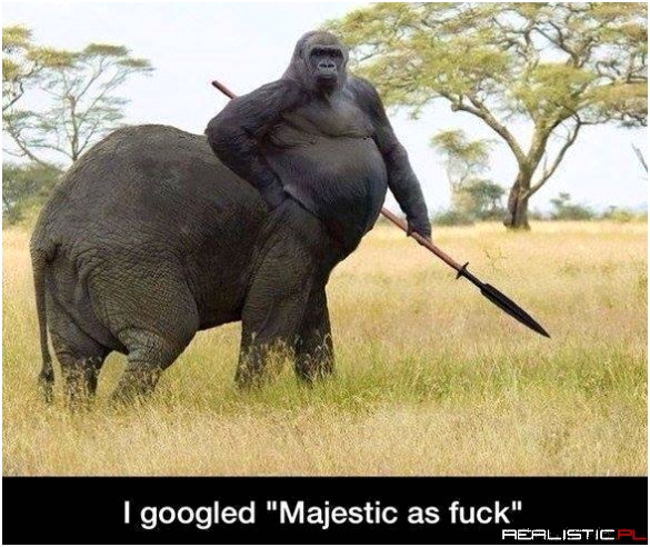 Seems legit