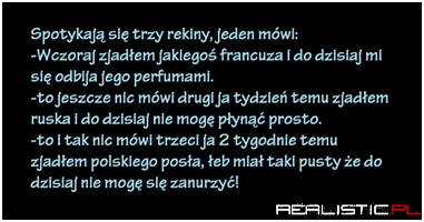 Spotykają się trzy rekiny