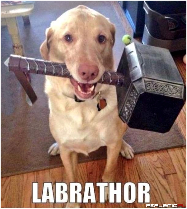 Thor