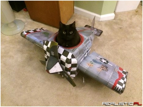 Call Sign - Black Death