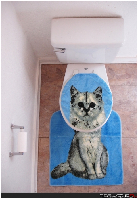 Cat toilet