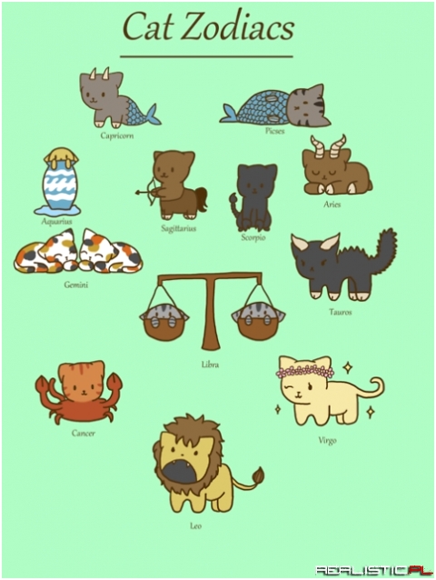Cat zodiacs