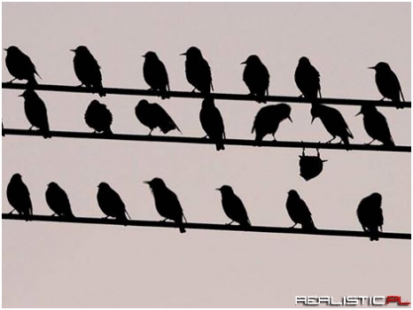 Hey Carl, you OK man