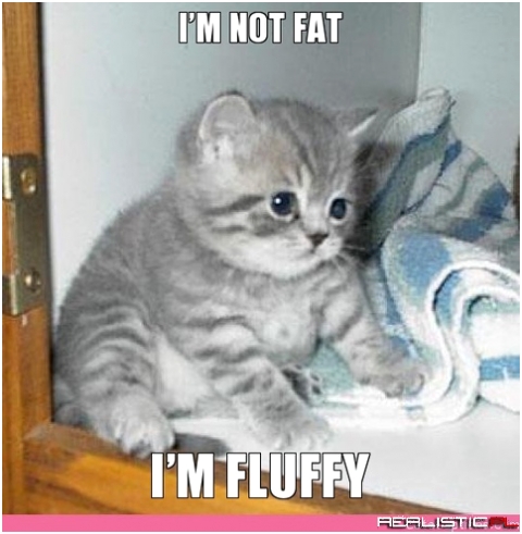 Im fluffy